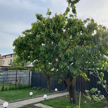 Schoenes Reihenhaus Mit Garten Μαγδεβούργο Εξωτερικό φωτογραφία